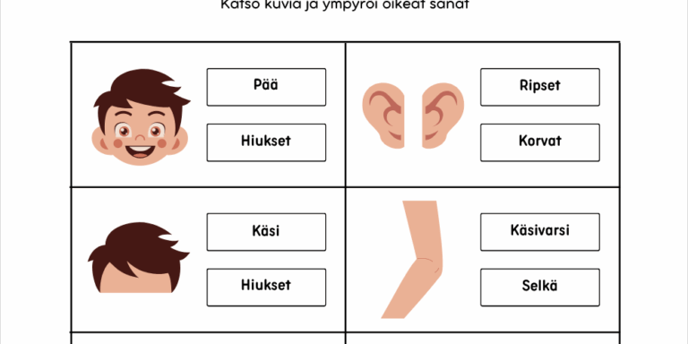 Kehonosat - hauska harjoitus kuvien avulla! Kehonosat - hauska harjoitus kuvien avulla!